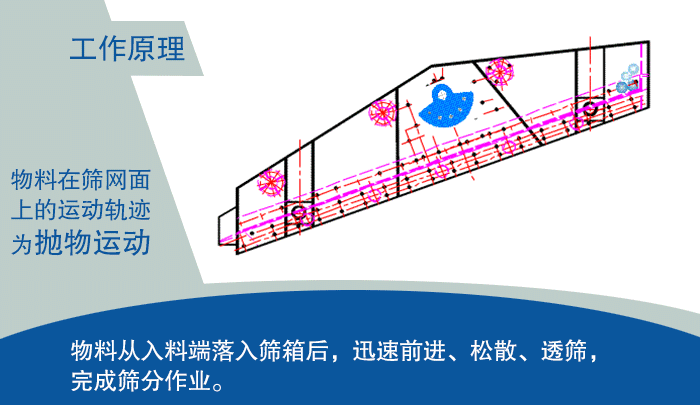 大型黄瓜视频在线看