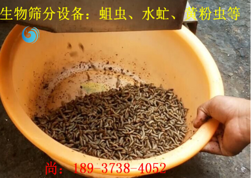 蛆虫筛选3层黄瓜视频成人APP官网